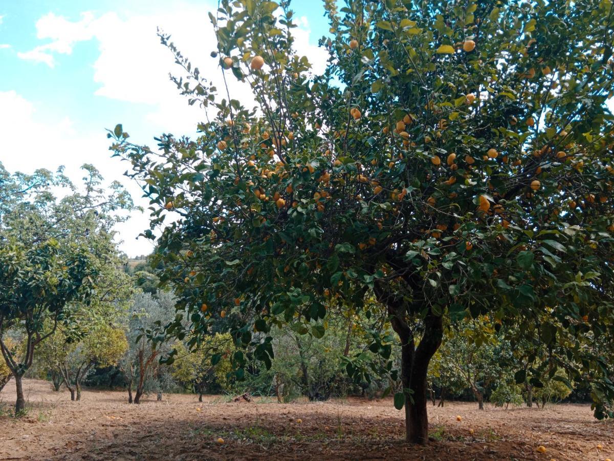 Vila Odori Di Zagara Caltanissetta Exteriér fotografie